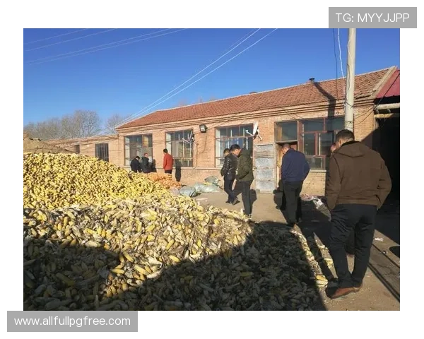 pg昆明在线登录入口无法登录怎么办，提供多种解决方法帮助您顺利登录